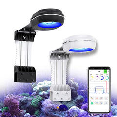 PopBloom RL60 full-spectrum reef light demonstrates broad spectrum support for coral growth and color.