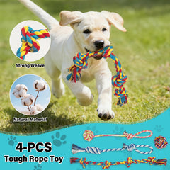 Popoko dog flirt pole with four rope toys highlights versatile attachment options.