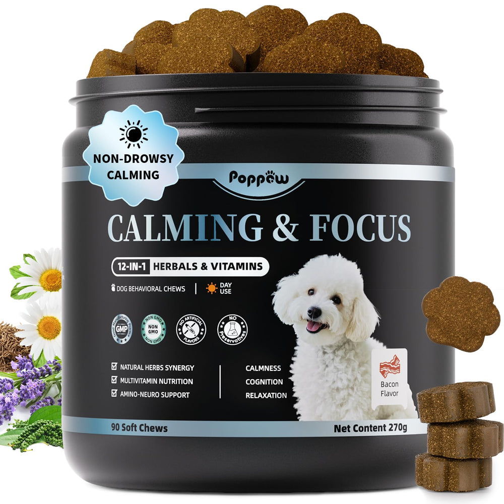Poppaw Calming Chews bottle front signals daytime calm for anxious dogs