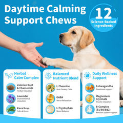POPPAW Calming Chews dog eating soft-treat demonstrates tasty calm during daily routine.
