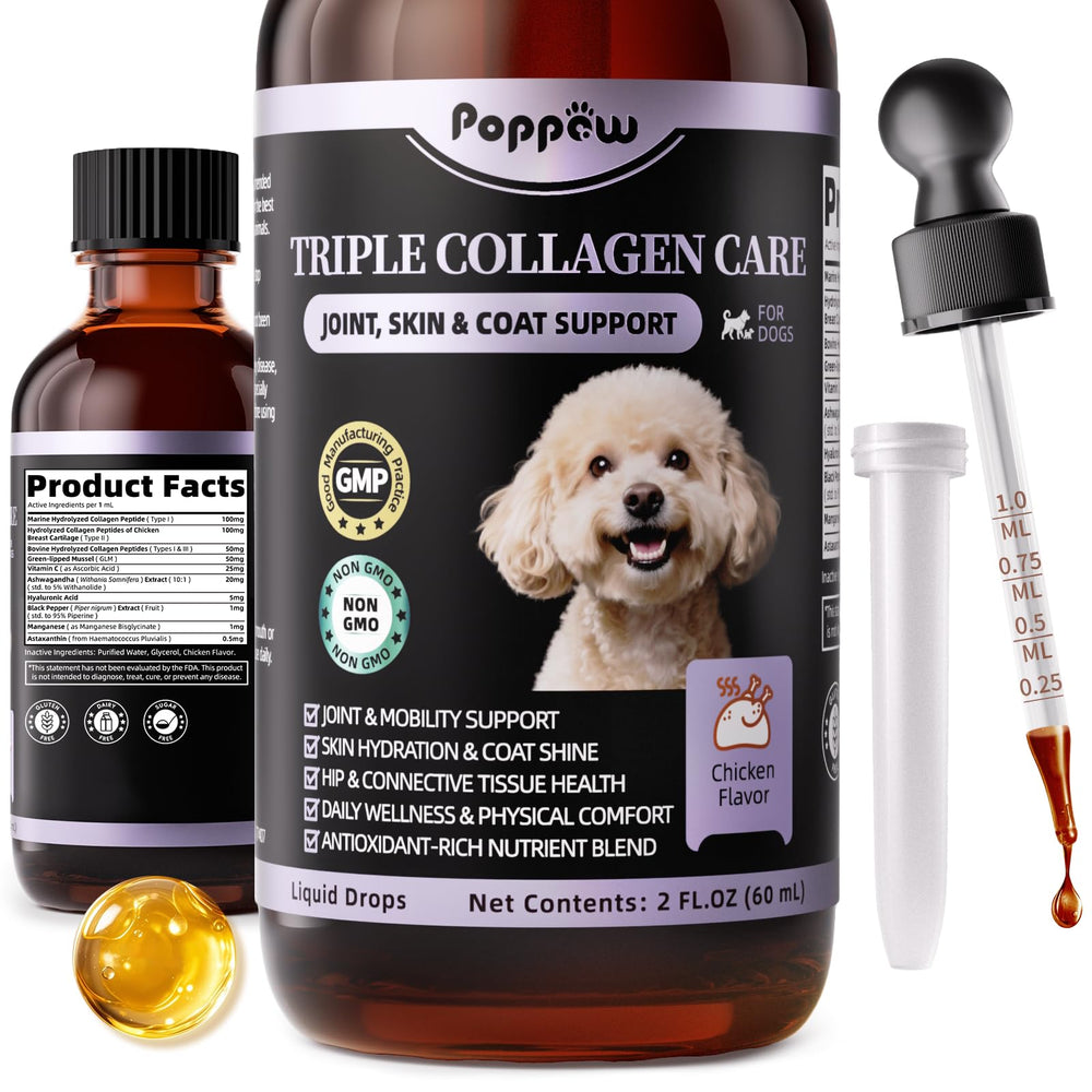 Poppaw Collagen for Dogs bottle showcasing daily joint and coat support.