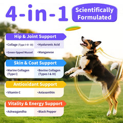 Poppaw Collagen for Dogs chicken-flavor drops ideal for picky eaters and routine use.