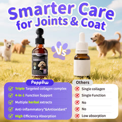 Poppaw Collagen for Dogs coat glow image highlighting shinier fur and healthy skin.