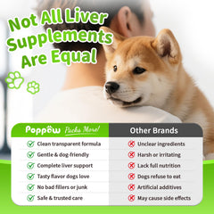 POPPAW dog liver support chews synbiotic blend aiding gut balance.