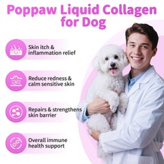 POPPAW for itching relief and skin comfort in dogs