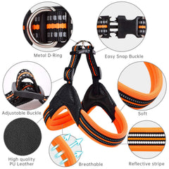 PORDLIE dog harness with reflective straps for safer night and early morning walks.