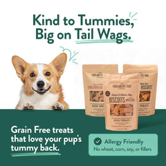 Portland Pet Food Company 3-pack box, convenient variety pack for dogs.