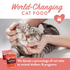 Portland Pet Food serving plate shows measured portion for easy cat feeding.