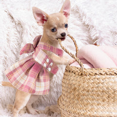 Potchen plaid dress navy for photos and events