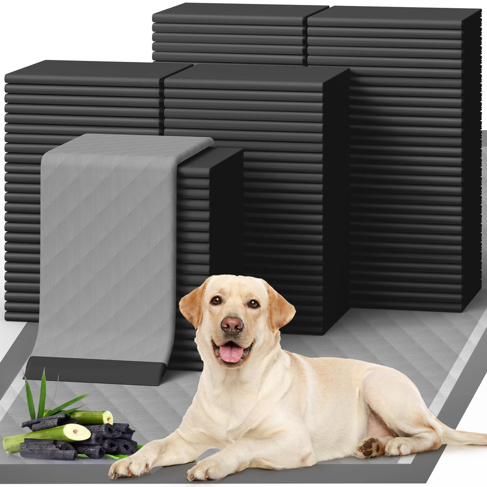 Powools 100-pack XL puppy pads charcoal packshot highlighting bulk value for training.