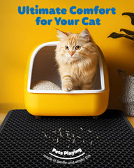 Powools EVA-soft texture close-up shows paw-friendly surface.