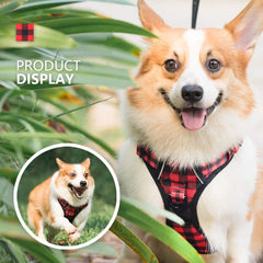 PoyPet dog-walking with plaid harness in action improves control and visibility.