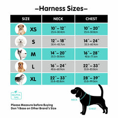 PoyPet closeup of reflective stitching enhances night safety and visibility.