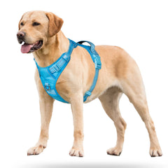 PoyPet No Pull Harness back D-ring ideal for casual walks and jogging