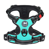 PoyPet No Pull Harness front clip Mint Blue with easy on-off for daily walks.