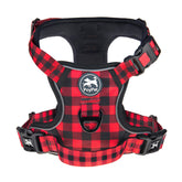 PoyPet no-pull harness front clip with reflective strips for safer evening walks.