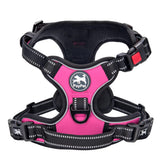 PoyPet no-pull harness front-leash focus for training and reduced pulling.