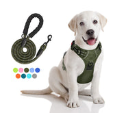 PoyPet no-pull harness front view with front D-ring for training control.