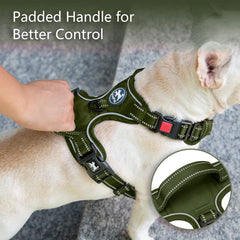 PoyPet No Pull Harness reflective strap boosts visibility during night-time strolls.
