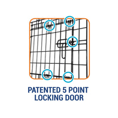 Precision Pet One Door Provalue crate with divider demonstrates interior adjustability for growing dogs.