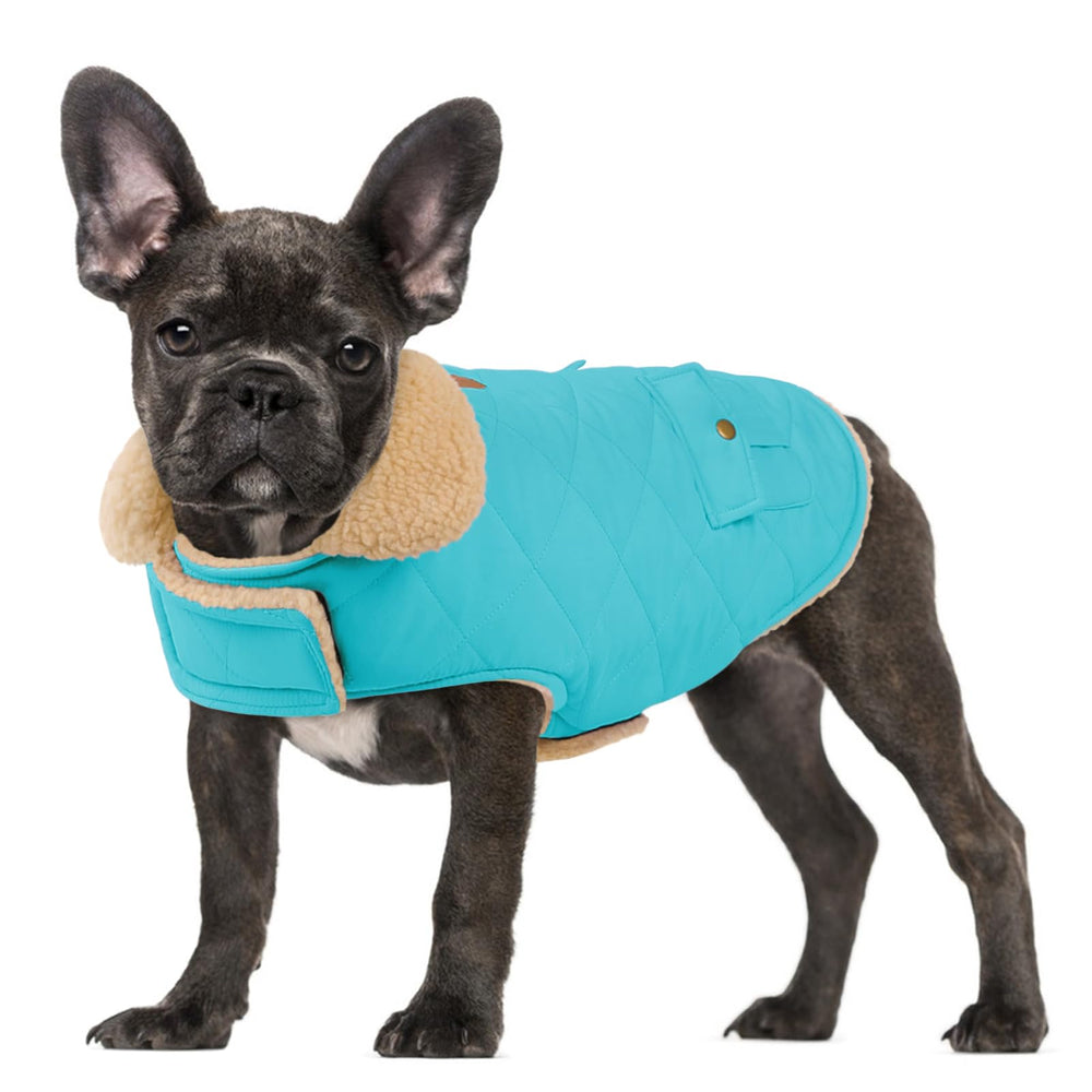 Preferhouse Large Dog Winter Jacket front view keeps dogs warm on cold walks.