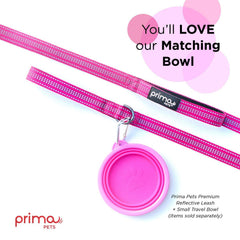 Prima Pets night safety leash with reflective stitching for early walks