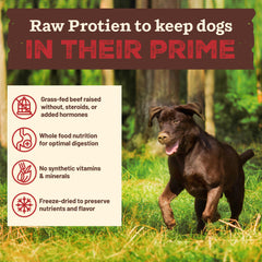 Primal Pet Foods grass-fed beef recipe delivers protein-rich nourishment for steady energy.