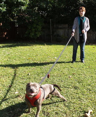 Primal Pet Gear red padded handles provide comfortable hand positions.