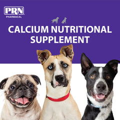 PRN Pharmacal Calsorb dog paw closeup highlighting pet-friendly calcium care.