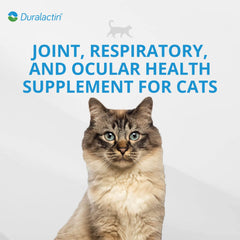 PRN Duralactin chicken-flavored paste ready for cats' daily supplement.