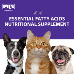 PRN Optima 365 feeding bowl scene suggests easy meal integration for dogs and cats.