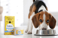 Probiora for Dogs powder close-up ready to mix for dental health.