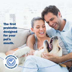Probiora for Dogs being sprinkled on food supports cleaner teeth.