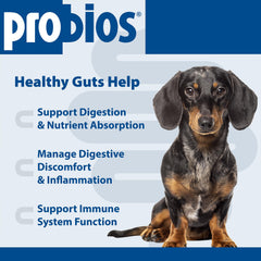Probios Dog Soft Chews multi-strain probiotic for digestion and gut balance.