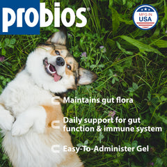Probios Probiocin Oral Gel dosing syringe showing precise administration