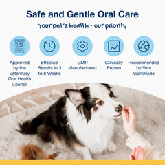 ProDen PlaqueOff bites on table: simple dosing of 4-8 bites daily.