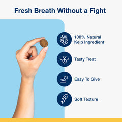 ProDen PlaqueOff kelp ingredient close-up highlighting natural source for oral health.