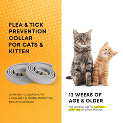 ProElobara cat collar adjustable fit for kittens to large cats.