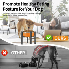 PROERR Lifted Dog Bowl Stand height options 8-12 inches for customization.