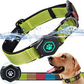 PROFAVO AirTag Dog Collar with waterproof holder keeps AirTag secure during splashes and swimming