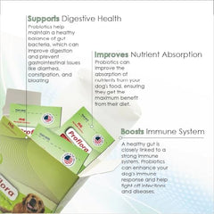 Proflora probiotic powder on dog food showing easy dosing