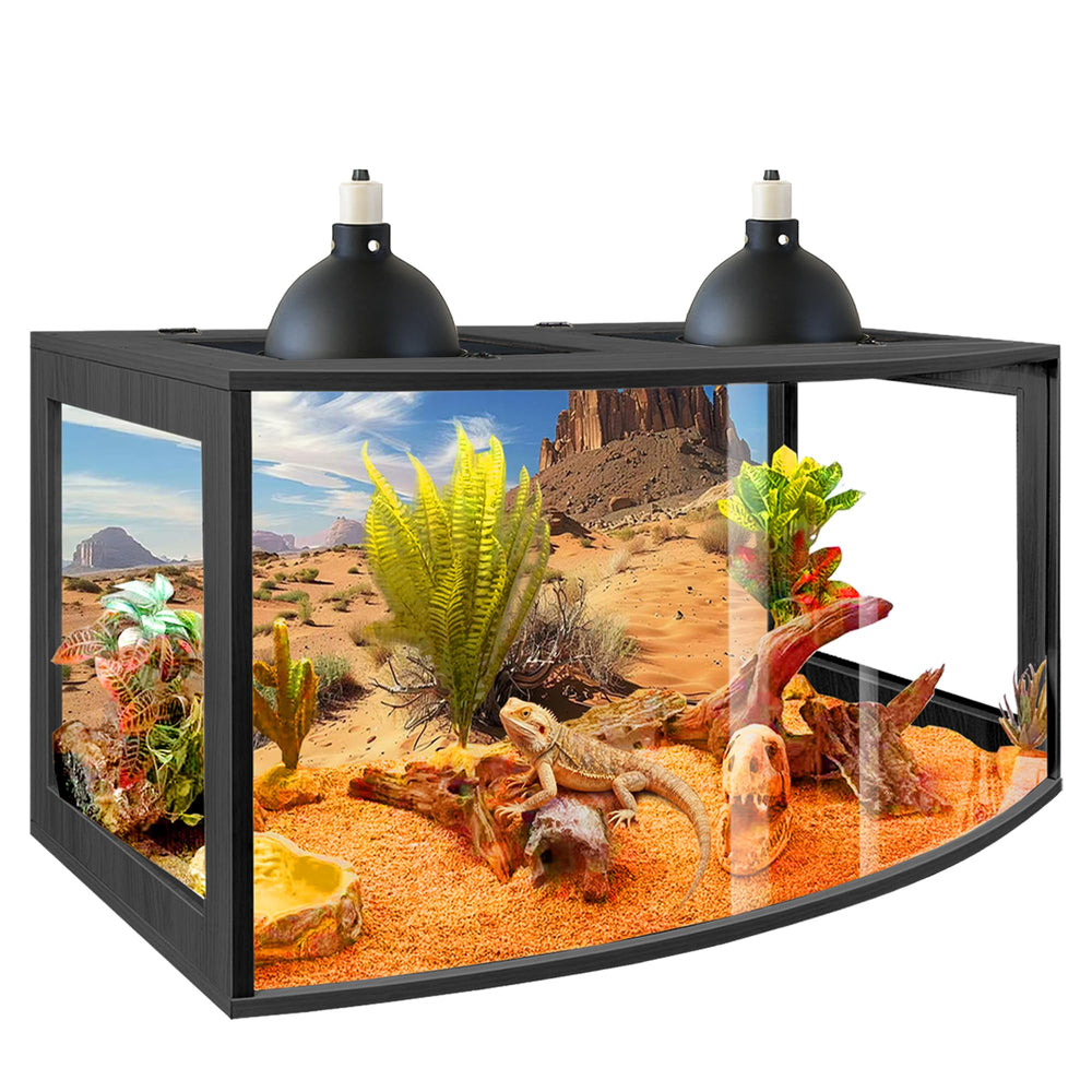 PROLEE Bearded Dragon Tank curved front panel offers wide, glare-free viewing for your reptile.