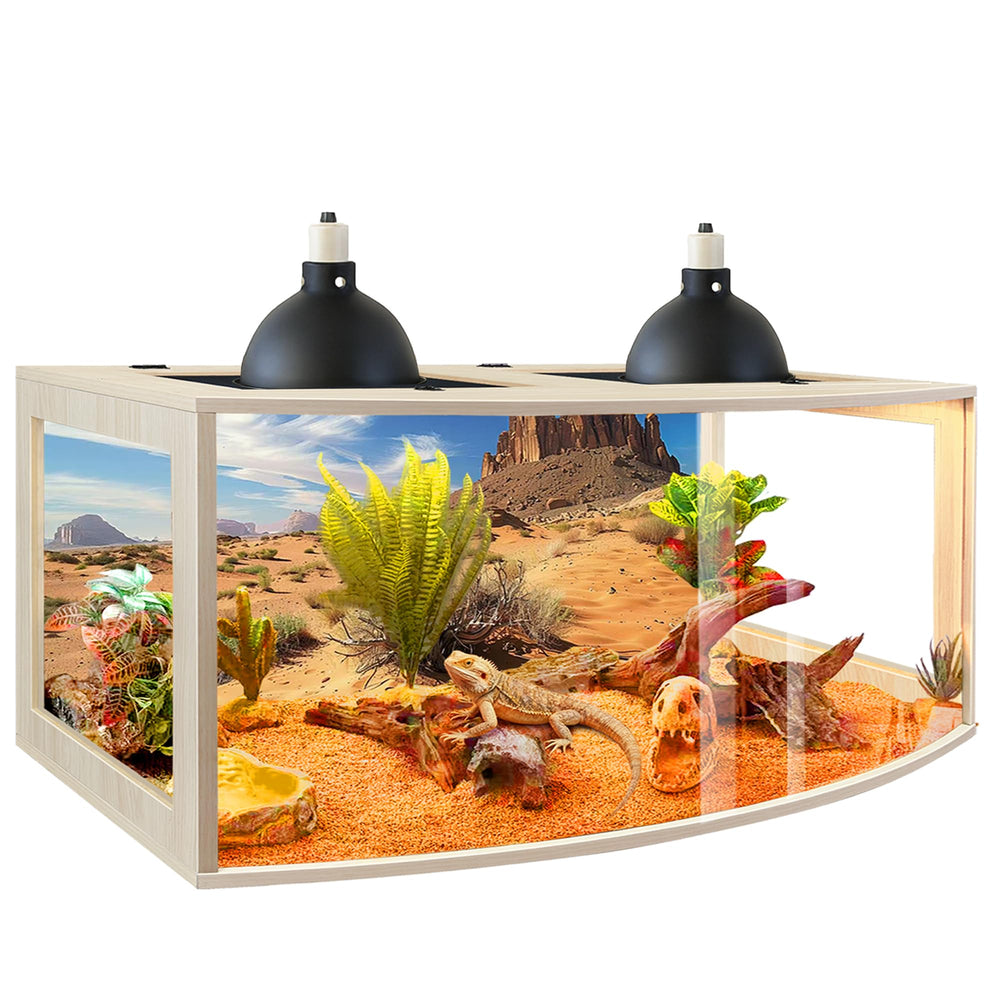 PROLEE Bearded Dragon Tank curved front view for immersive watching and easy bedding management