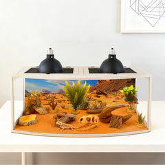 PROLEE Bearded Dragon Tank oak wood enclosure showcases sturdy habitat for terrestrial reptiles
