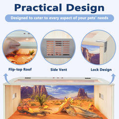 PROLEE Reptile Terrarium interior space for bearded dragon or lizard