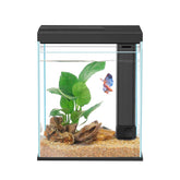Pronetcus Betta Tank 2gal glass view for crystal-clear fish observation.