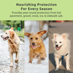 Protex PawZ MaxWax on hot pavement during summer stroll
