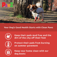 Protex PawZ anti-slip traction boot on slick surface helps prevent slips.
