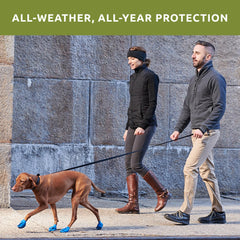 Protex PawZ waterproof dog shoe in rainy scene for wet-weather protection