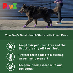 Protex PawZ waterproof dog shoes image highlights rain-ready waterproofing for damp walks.